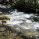 Illustration for article titled A hike with Toby and Mrs. IM at Willow Creek. (Angel Falls)